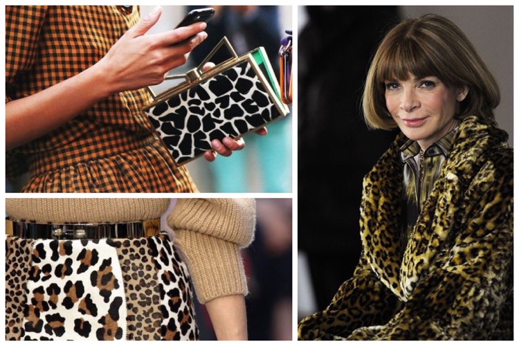 360701_original.jpg 360701_original.jpg