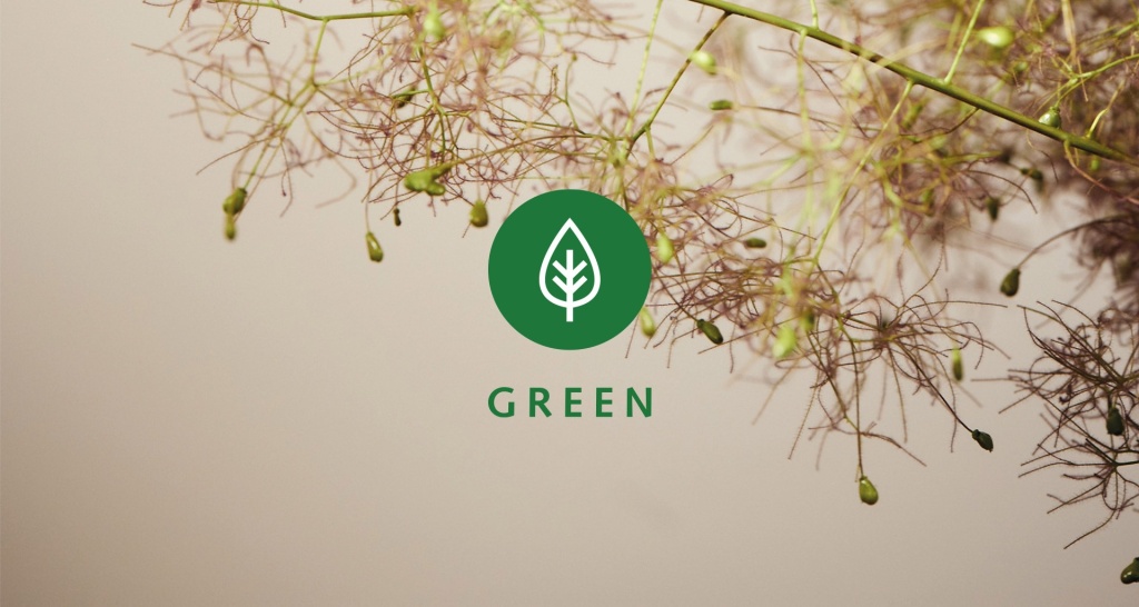 MM_GREEN_Motiv1920px.jpg MM_GREEN_Motiv1920px.jpg